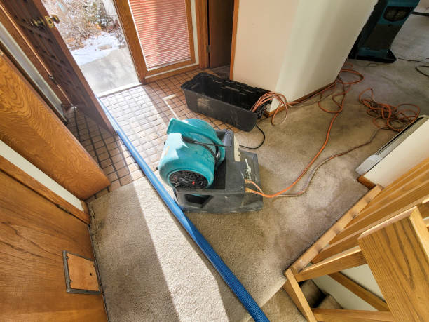 Best Mold removal after water damage  in Florham Park, NJ