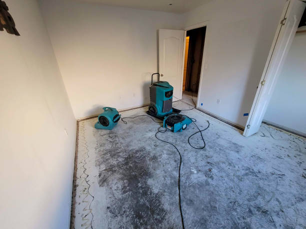 Reliable Florham Park, NJ Water damage restoration Solutions