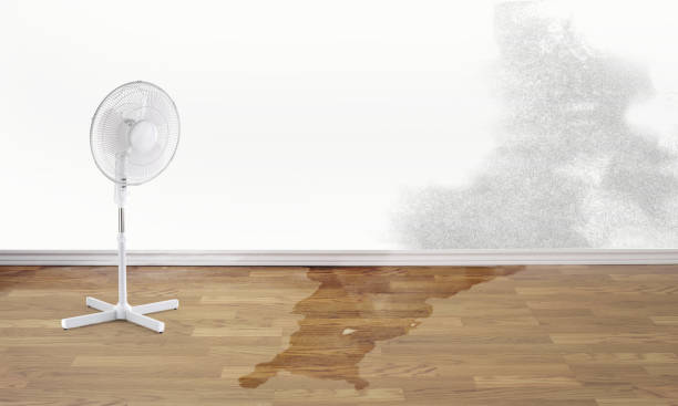 Best Ceiling water damage repair  in Florham Park, NJ