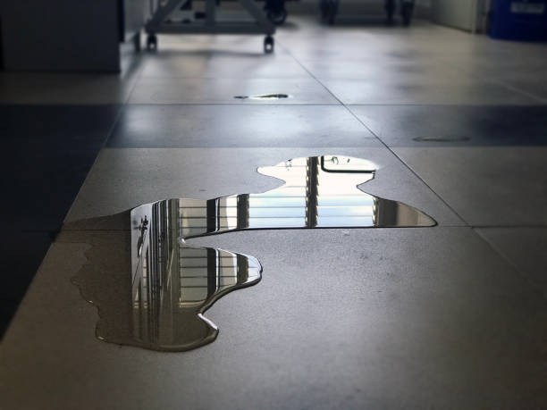 Best Carpet water damage restoration  in Florham Park, NJ