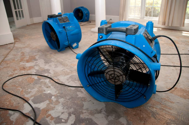 Best Water damage restoration cost  in Florham Park, NJ