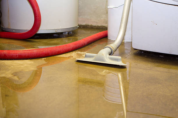 Best Local water damage restoration  in Florham Park, NJ