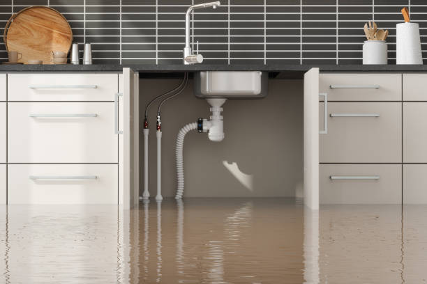 Best Commercial water damage restoration  in Florham Park, NJ