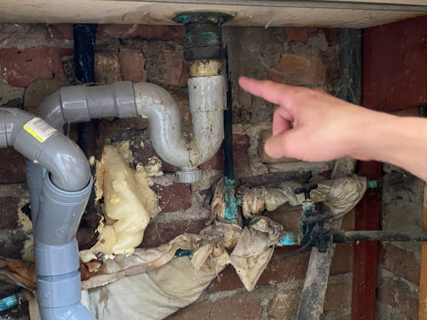 Best Sewage cleanup and water damage restoration  in Florham Park, NJ
